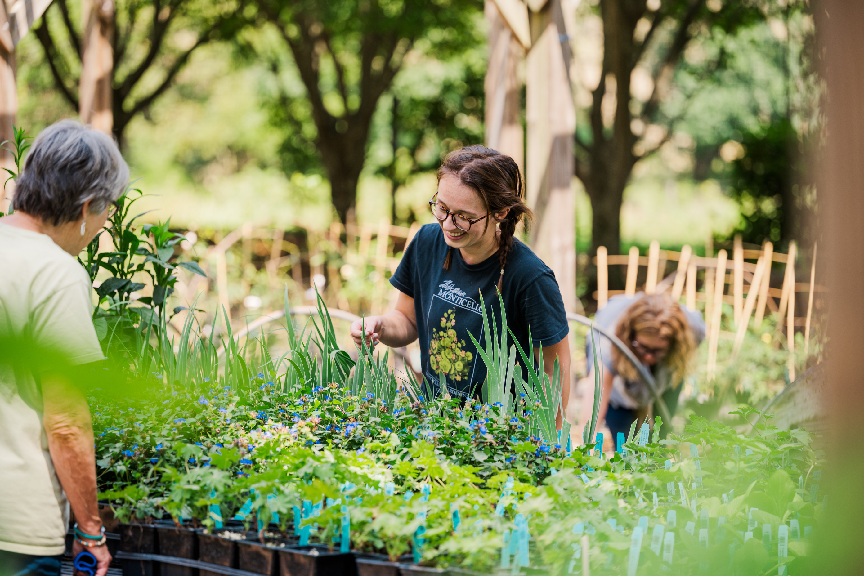 September Plant Sale at Monticello